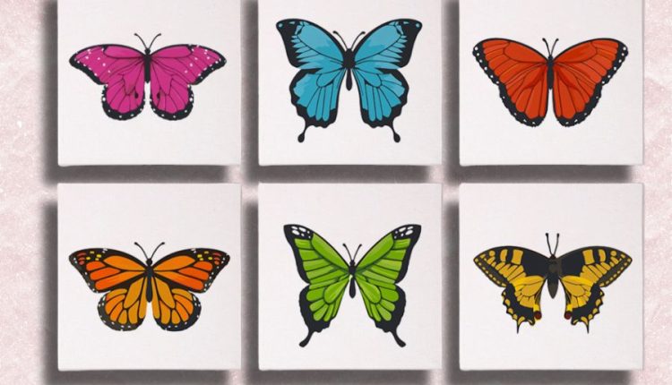 Mini Butterfly 6 Pack Paint by Numbers