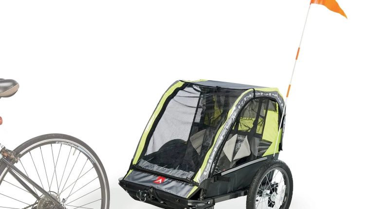 Allen Sports Deluxe 2 Child Bicycle Trailer & Stroller - MadeInUSA