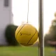 Sterling Sports Deluxe Tetherball Set – MadeInUSA