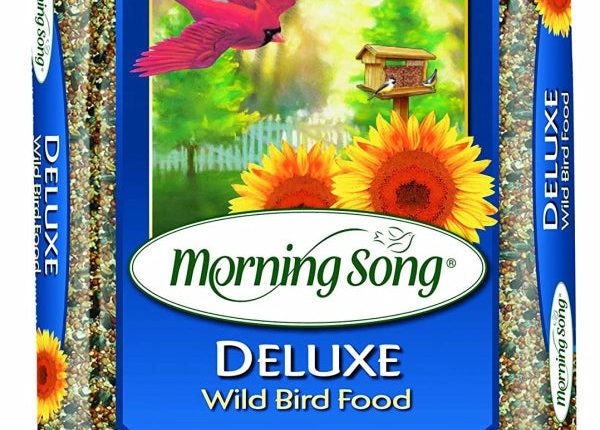 Morning Song 11963 Deluxe Wild Bird Food Bag, 10Pound - MadeInUSA
