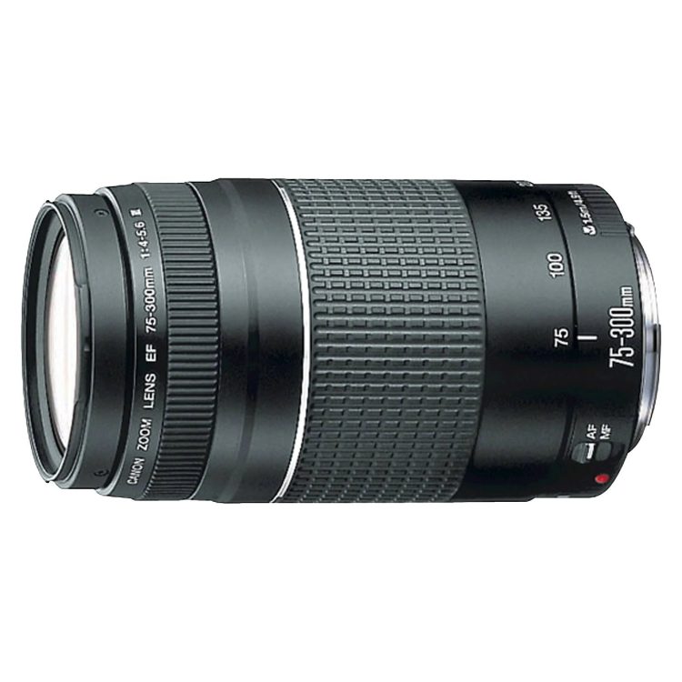 Canon EF 75-300mm f/4-5.6 III Zoom Lens - MadeInUSA