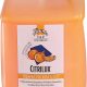 Top Performance Citrilux Dog Cat Shampoo – MadeInUSA