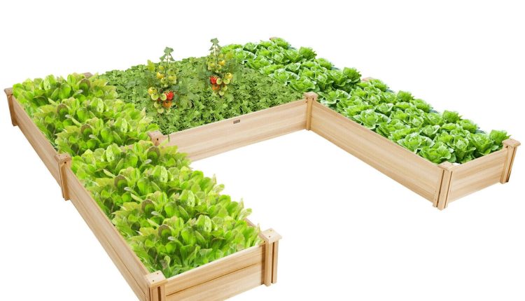 Gymax Raised Garden Bed Wooden Garden Box Planter Container U-Shaped Bed 92.5x95x11in - MadeInUSA