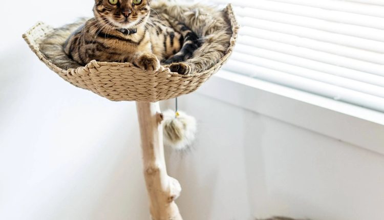 Mau Style Uni Cat Tree - MadeInUSA