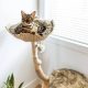 Mau Style Uni Cat Tree – MadeInUSA