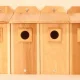 6 Cedar Bluebird Houses – MadeInUSA