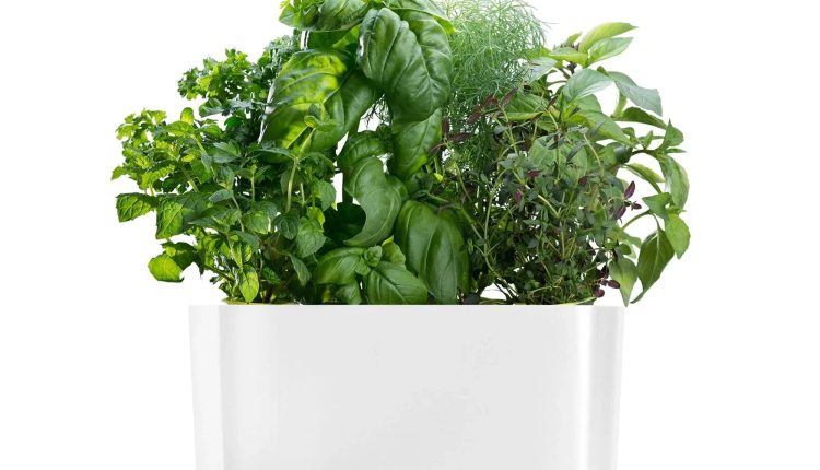AeroGarden - Harvest - White - MadeInUSA