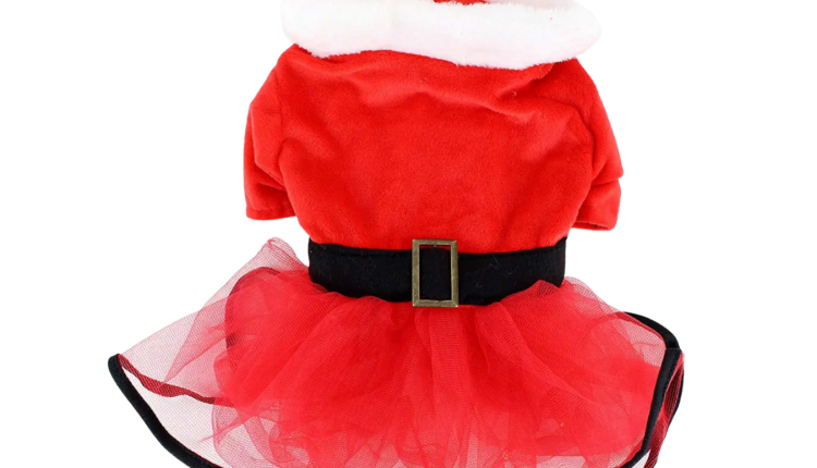 Midlee Mrs. Claus Santa Tutu Dog Dress