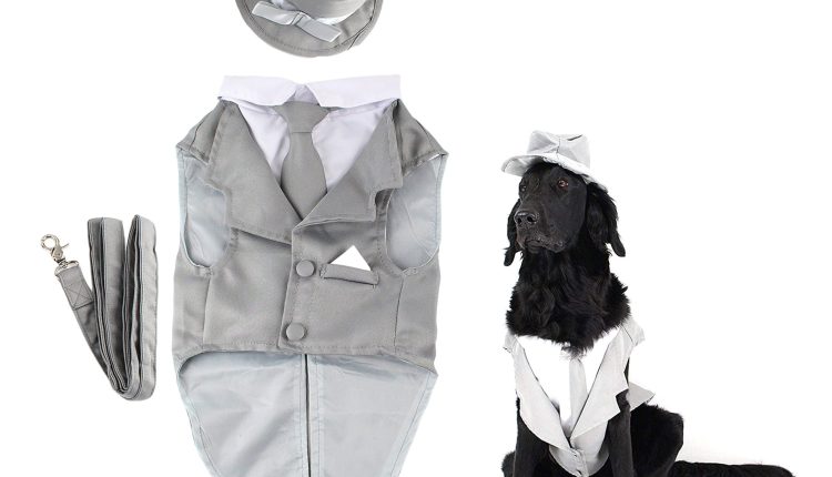 Midlee Dog Tuxedo Wedding Suit- Gray Top Hat & Leash