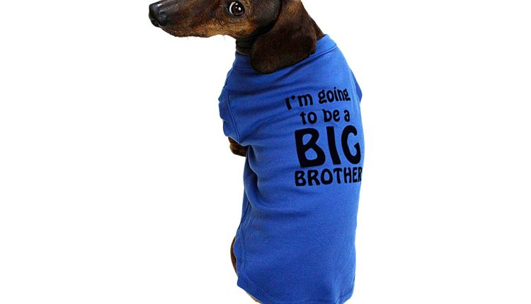 Midlee I'm Going to be a Big Brother Dog Shirt
