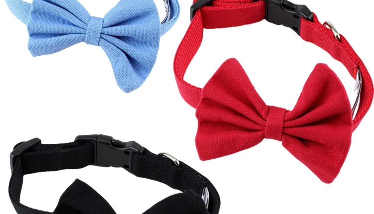 Midlee Bow Tie Dog Collar Canvas