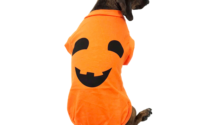 Midlee Pumpkin Face Dog Shirt Costume