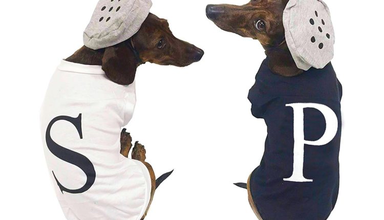 Midlee Salt & Pepper Dog Costume